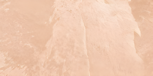 CAIRO BEIGE (SUNCORP)