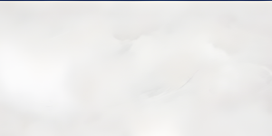 ALTROZ BIANCO ENDLESS